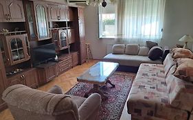 Apartman U Centru Leskovca